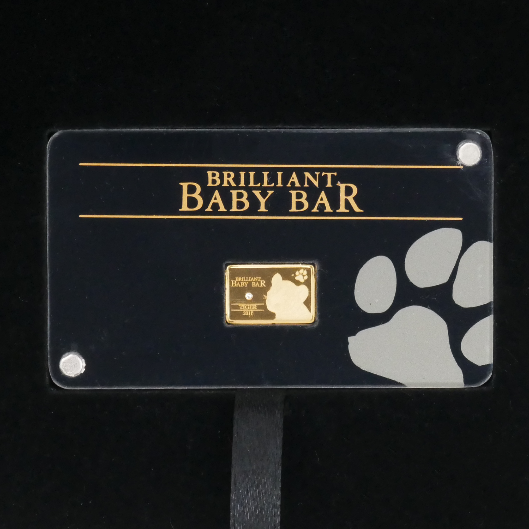 Detailaufnahme des 1 Gramm Gold-Münzbarrens